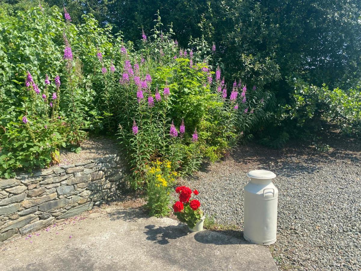 Hawthorn Cottage Greencastle  Luaran gambar