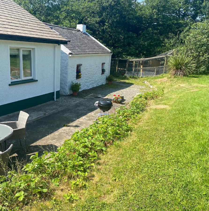 Hawthorn Cottage Greencastle  Luaran gambar
