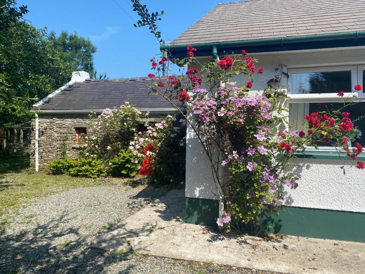 Hawthorn Cottage Greencastle  Luaran gambar